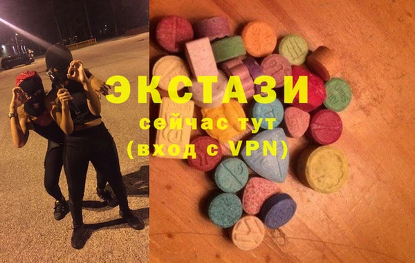 ECSTASY Инсар