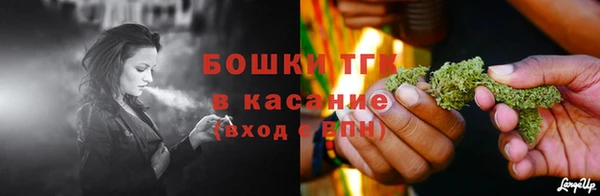 ECSTASY Инсар