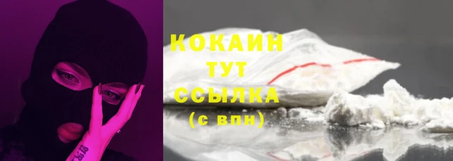 ECSTASY Инсар