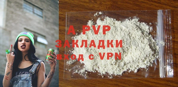 ECSTASY Инсар
