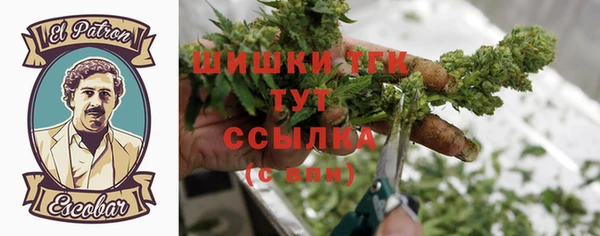 ECSTASY Инсар